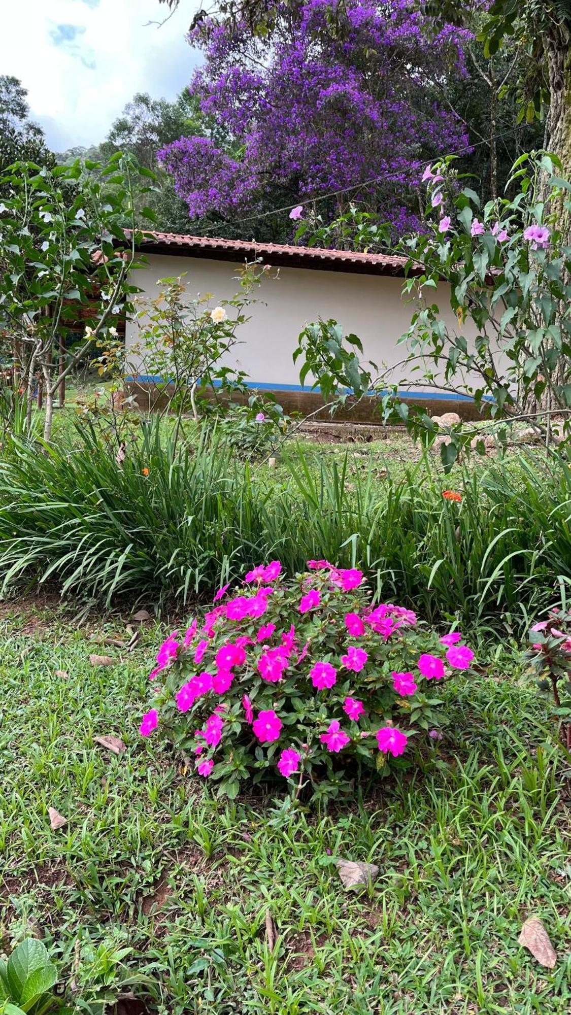 בוקאינה דה מינאס Pousada Camping E Restaurante Vila Dos Arcanjos מראה חיצוני תמונה
